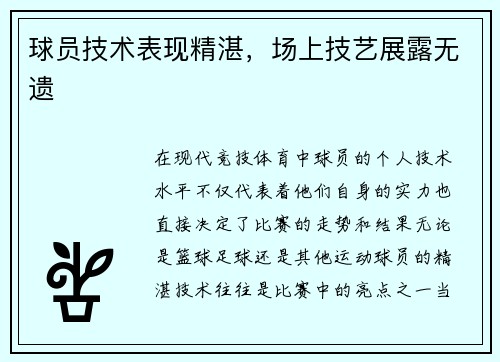 球员技术表现精湛，场上技艺展露无遗