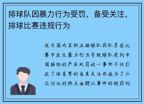 排球队因暴力行为受罚，备受关注，排球比赛违规行为