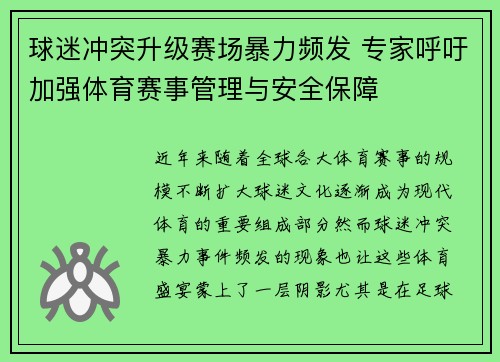 球迷冲突升级赛场暴力频发 专家呼吁加强体育赛事管理与安全保障