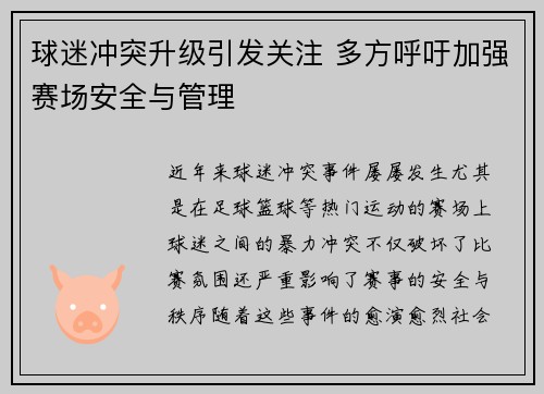 球迷冲突升级引发关注 多方呼吁加强赛场安全与管理