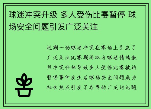 球迷冲突升级 多人受伤比赛暂停 球场安全问题引发广泛关注