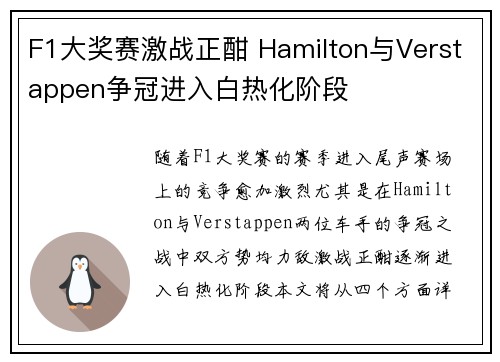 F1大奖赛激战正酣 Hamilton与Verstappen争冠进入白热化阶段